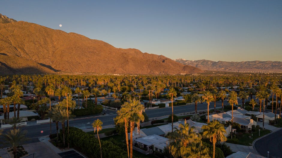 Palm Springs, CA — local perspective.